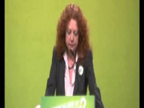 Rede von Margarete Bause auf der Bundesdelegiertenkonferenz in Berlin, 27. April 2013